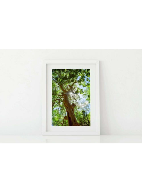Butterfly in the Wind Home Stand Proud Art Print (5 x 7) sungkyulgapa