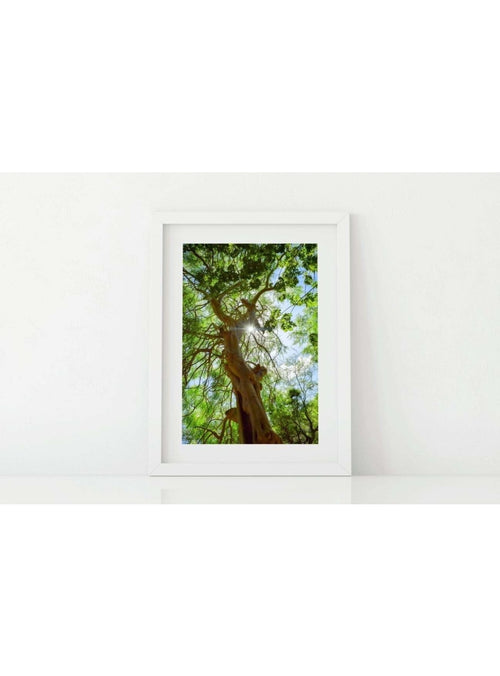 Butterfly in the Wind Home Stand Proud Art Print (8 x 10) sungkyulgapa