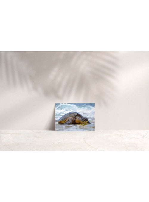 Butterfly in the Wind Home Sweet Kalani Note Card sungkyulgapa
