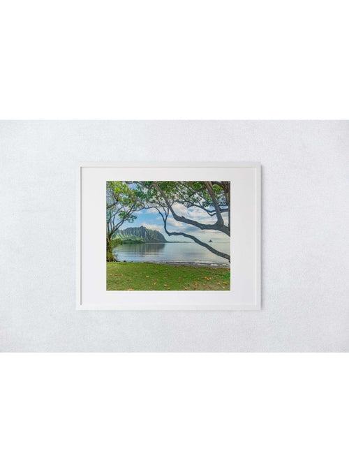 Butterfly in the Wind Home Waiahole Sunrise Art Print (5 x 7) sungkyulgapa