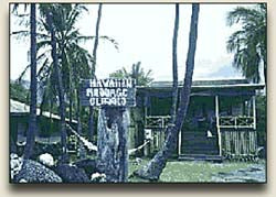 Auntie Margaret Kalehuamakanoelulu'onapali Machado Home and Lomilomi Massage School in Kona