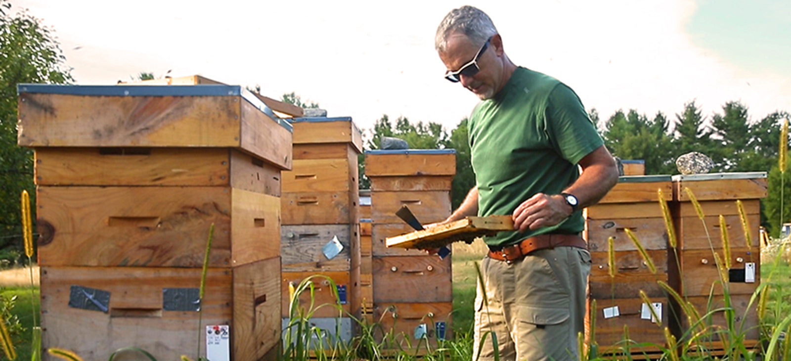 Martin G. Marklin Beekeeping
