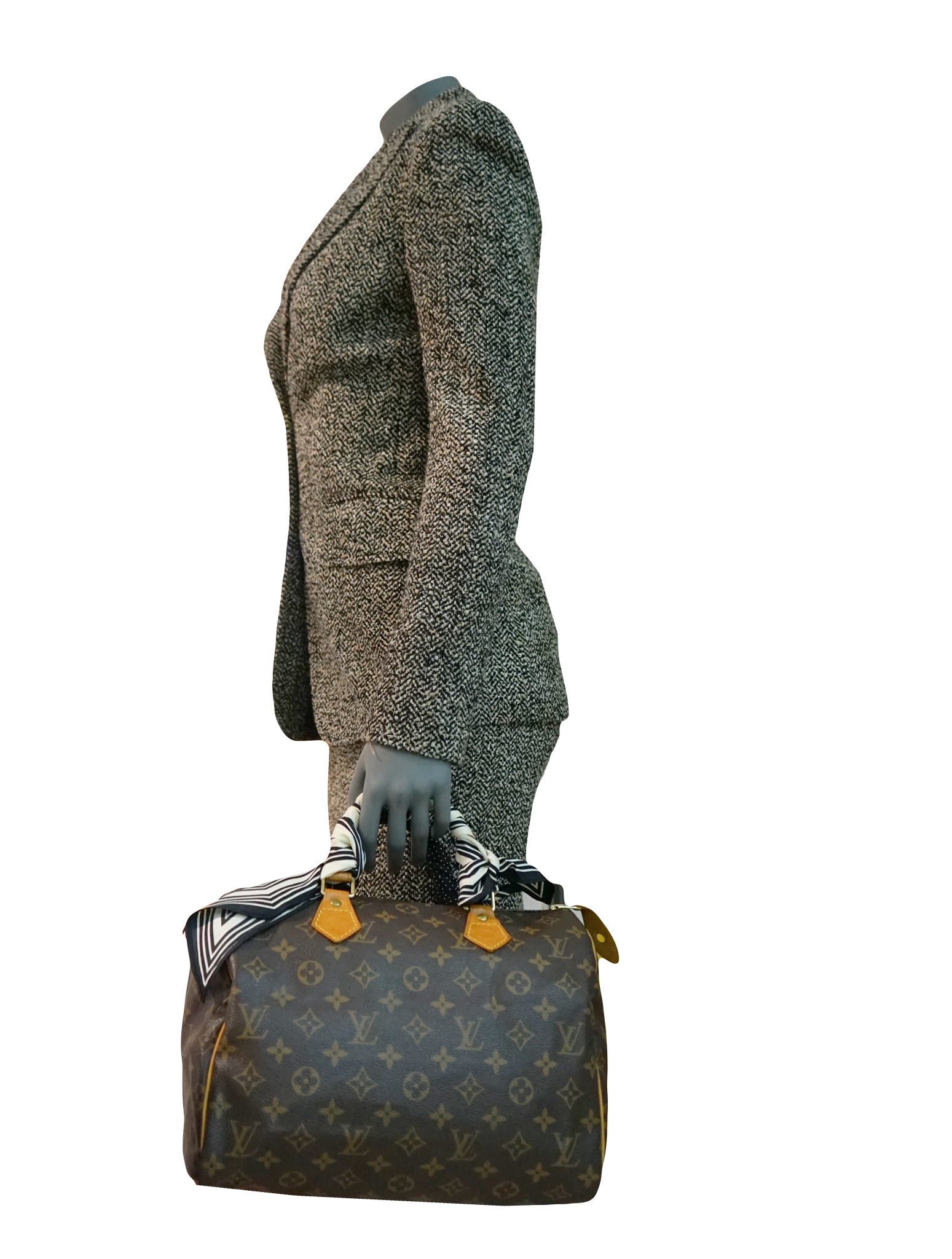 MONOGRAM CANVAS SPEEDY 30 BAG
