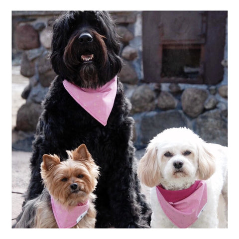 Hound and Friends modern matching accessories for your dogs and you. Bandanas, bow ties, and flower crowns.