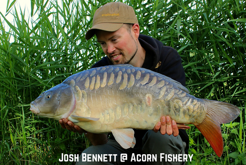 Josh Bennett Acorn Fishery