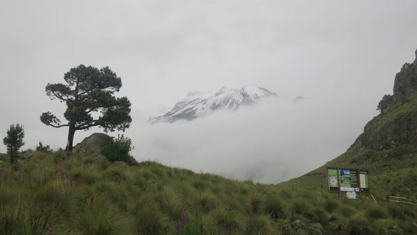 Foggy mountainous view