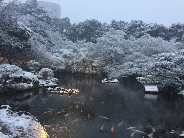 Snowy scenery in Tokyo