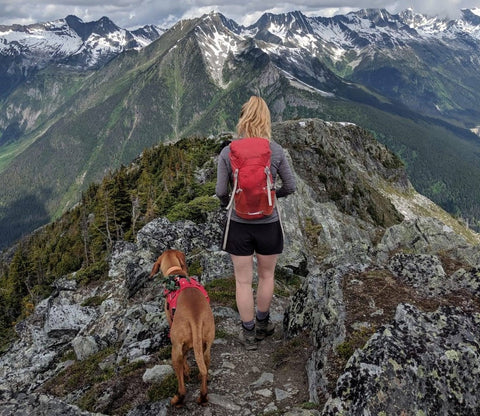 Woman on mountain with dog