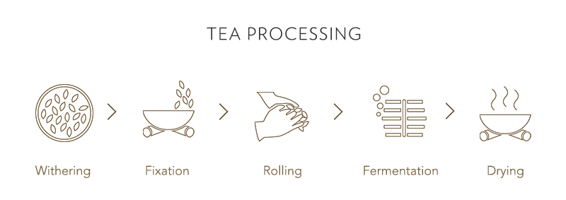 Tea processing
