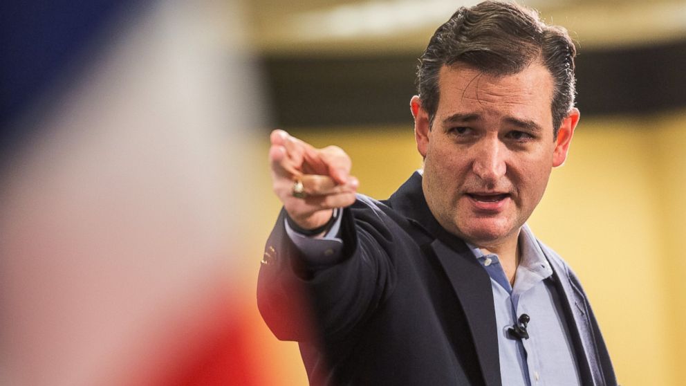 Cruz'in to the Whitehouse Adult Hoodie