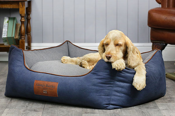 Soft-Walled Dog Bed