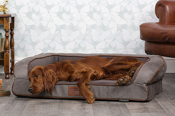 Dog Sofa Bed