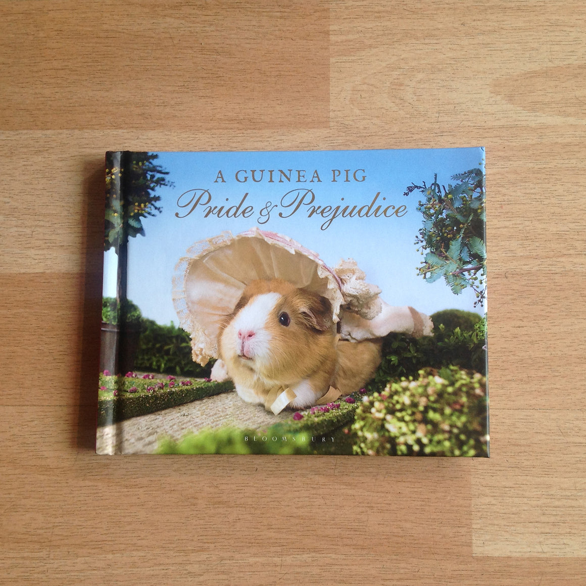 guinea pig gifts, the classic jane austen story re-told with