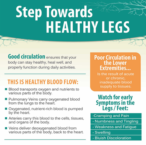 Healthy Legs Infographic