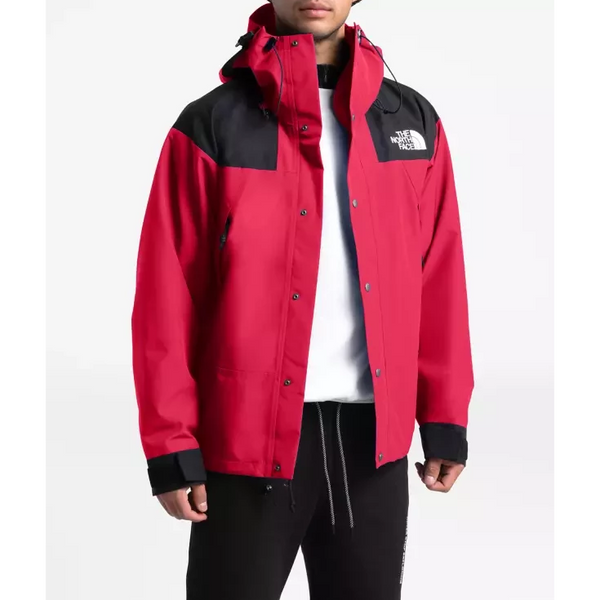 the north face gtx parka