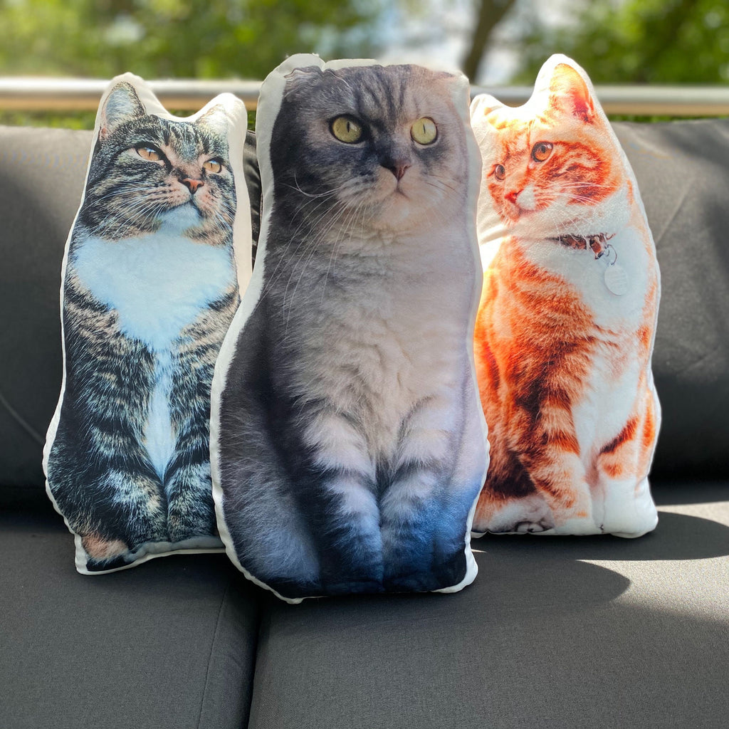 pillows with cats on them