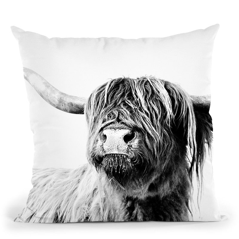 highland cow pillow pet