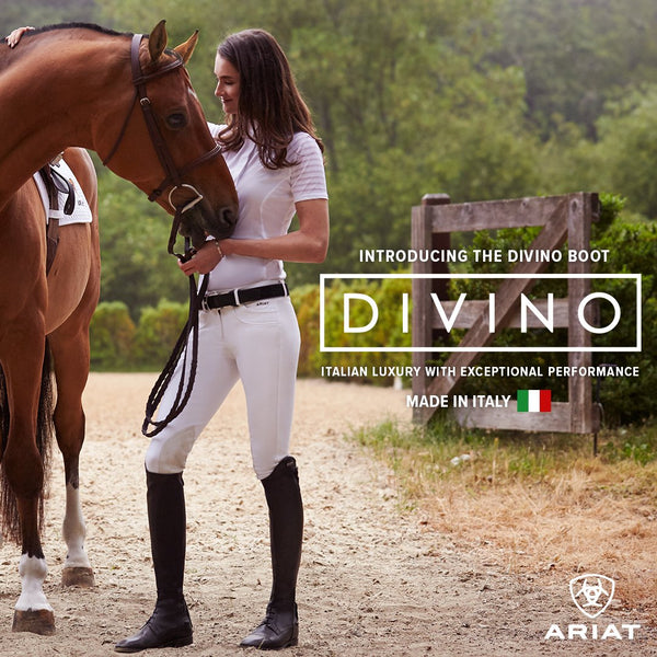 divino ariat