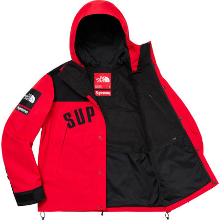 tnf x supreme parka