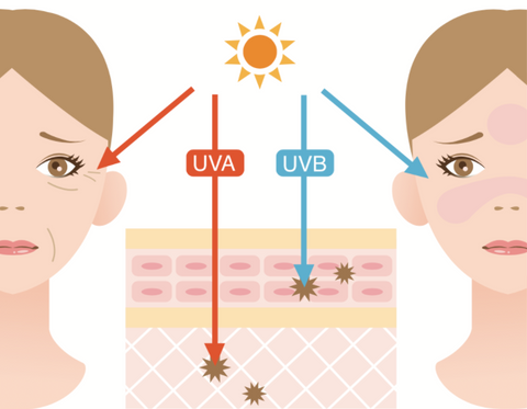effects of UV