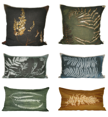 the Fern Collection