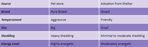 Comparison of Dogs from the Pet Store or Shelter