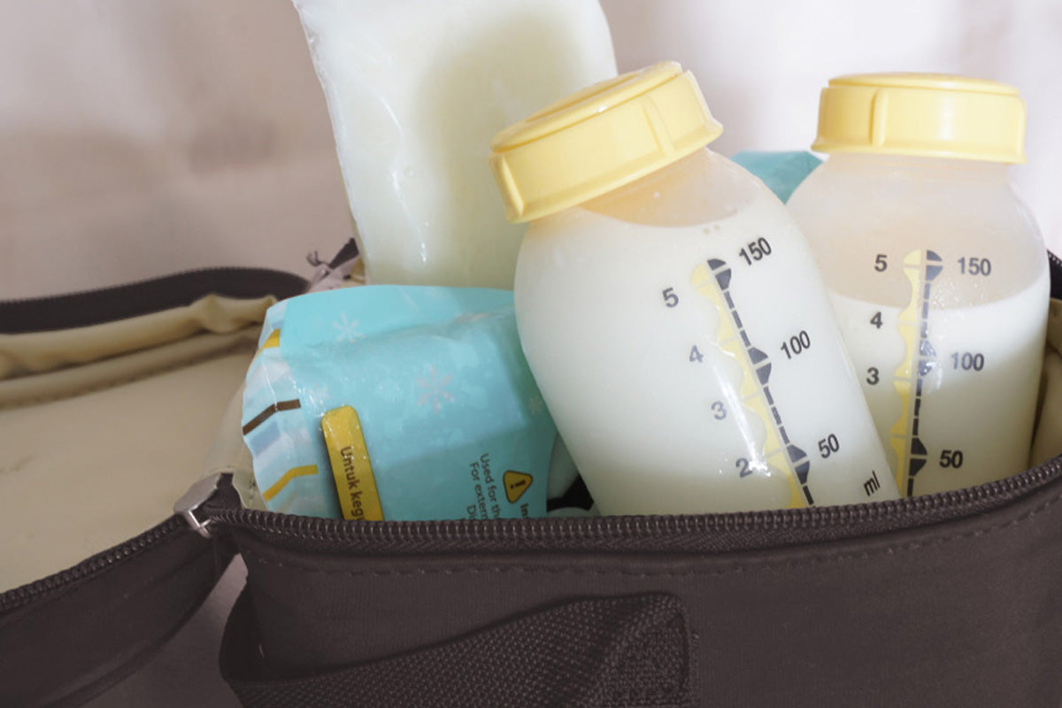 Tips For Traveling With Breast Milk In An Airplane Or Car Nourisher