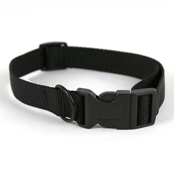 Black Dog Collar – PushPushi