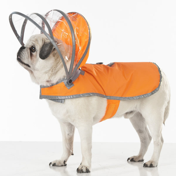 safety orange dog collar