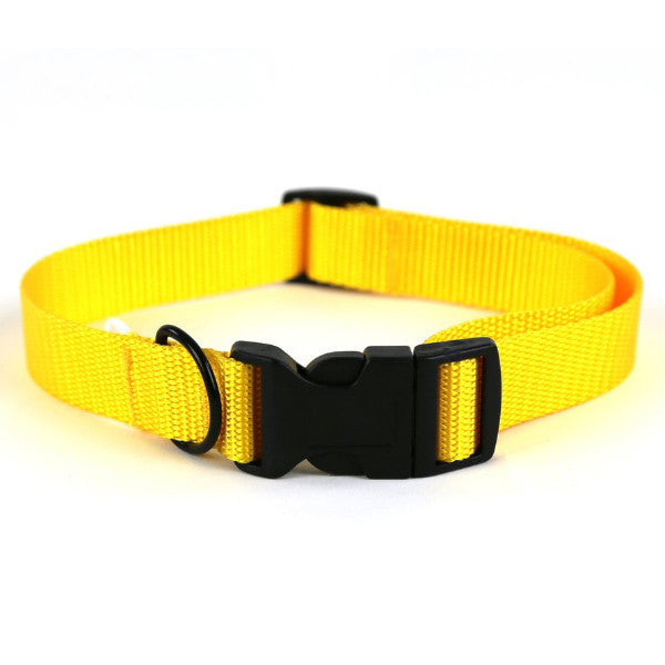 yellow dog collars