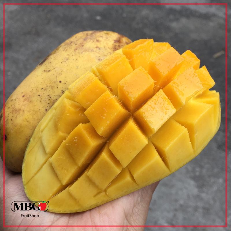 mango sweet malaysia fruit fruits