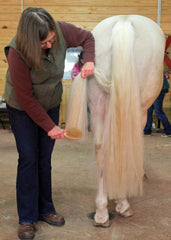 brushing horse's tail without pulling out hair