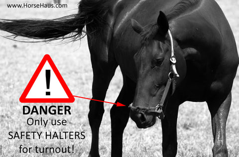 horse danger turnout halter