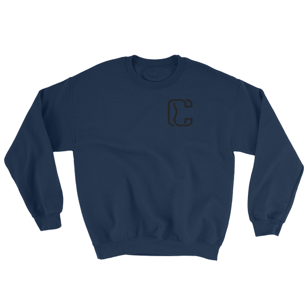 heavyweight crewneck sweatshirt