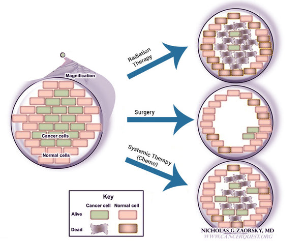 Conventional Cancer Protocol