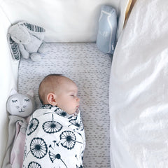 newborn sleep cycles