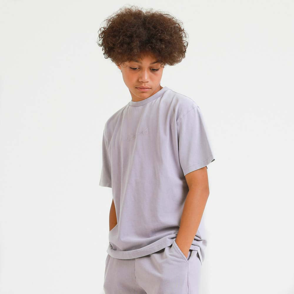 Boys Signature Acid Wash Tee  | Lilac