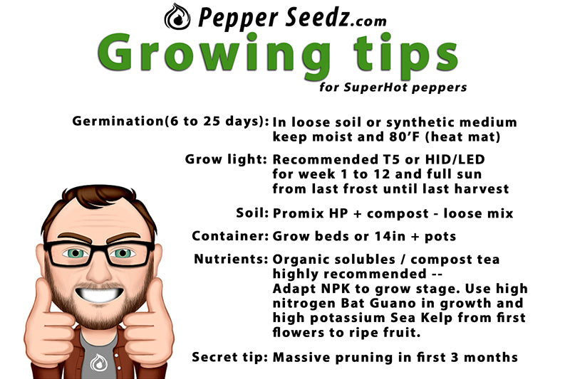 Growing hot peppers tips