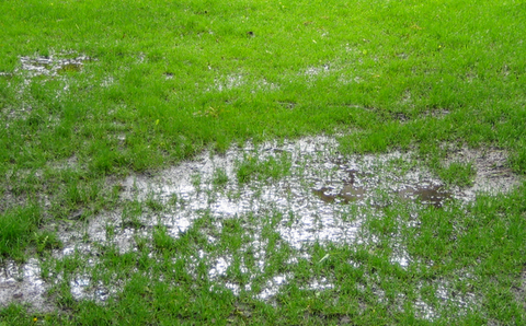 Flooded lawn