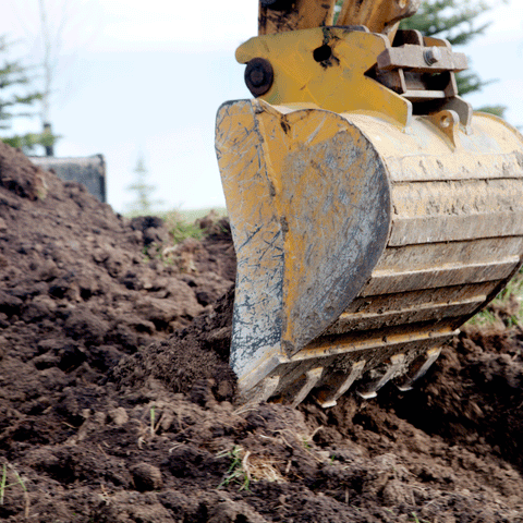 Dandy's soil processing