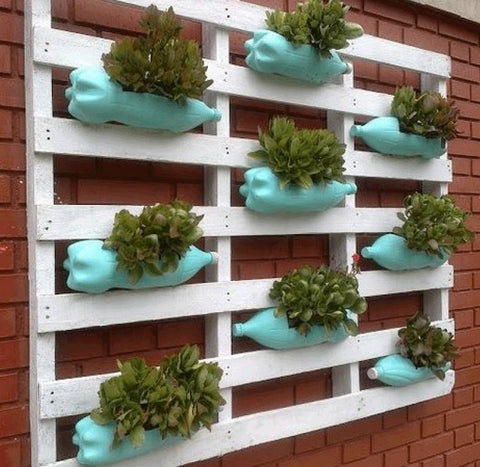 DIY pallet and bottle wall