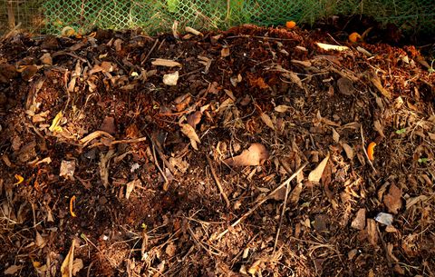 Dandys topsoil - compost pile