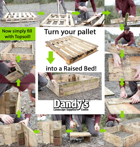 Dandy's Pallet Raised Bed