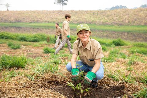 Volunteer at a koala sanctuary