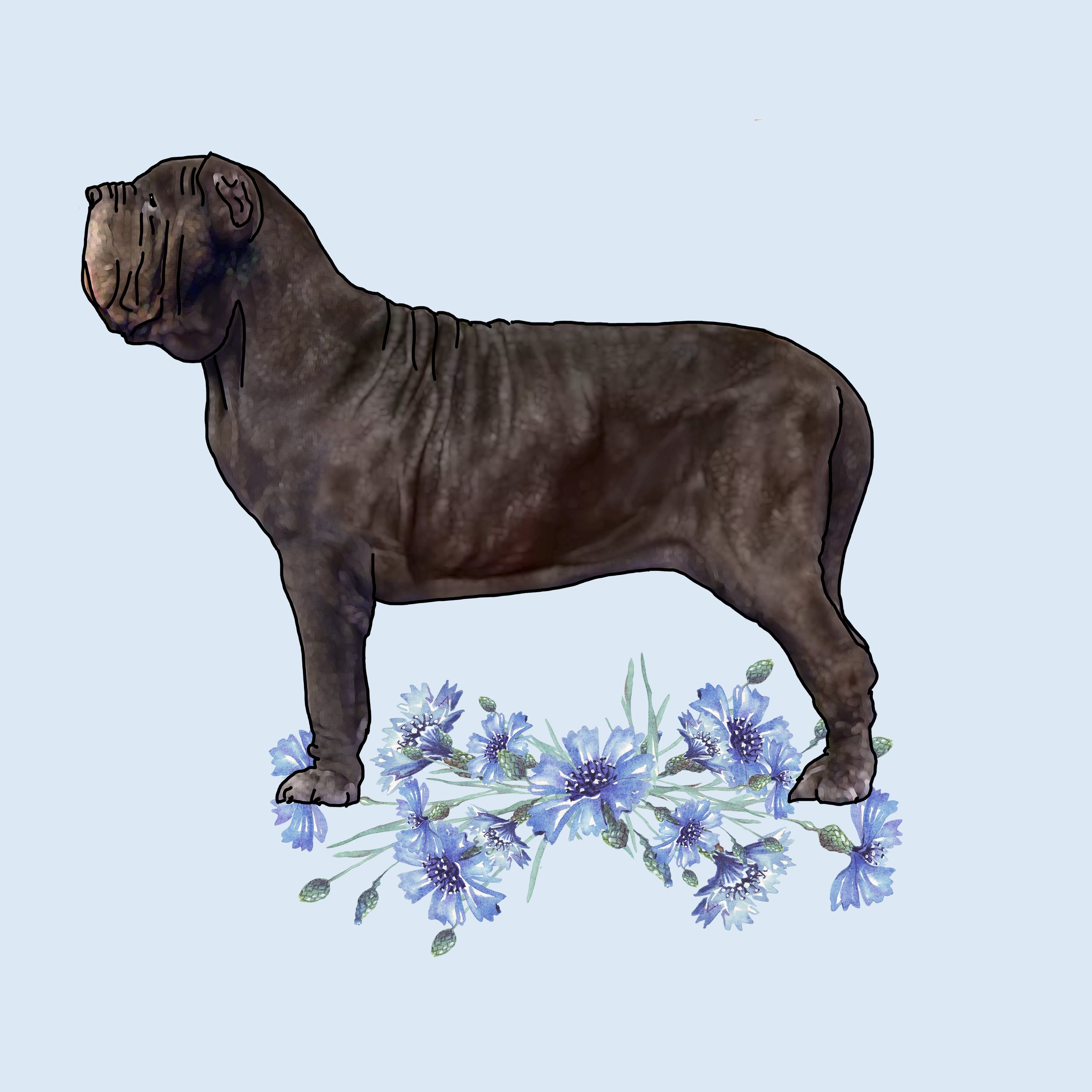 Neapolitan Mastiff