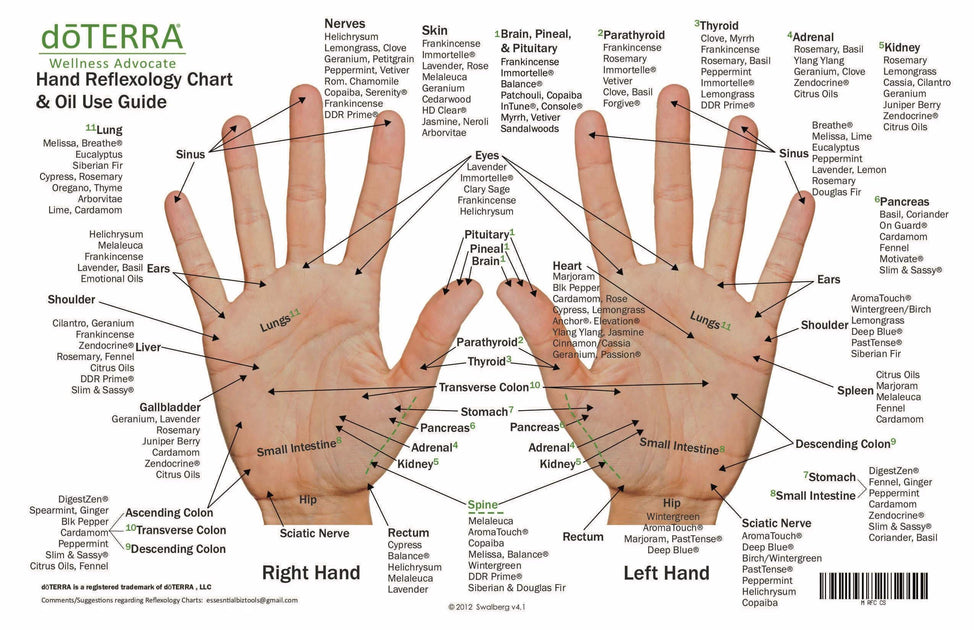 Hand & Foot Reflexology on Cardstock 8.5x5.5 Sheet