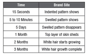 Post Branding Results chart