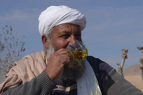 rumi partners with hundreds of farmers in afghanistan to bring you the world's best saffron