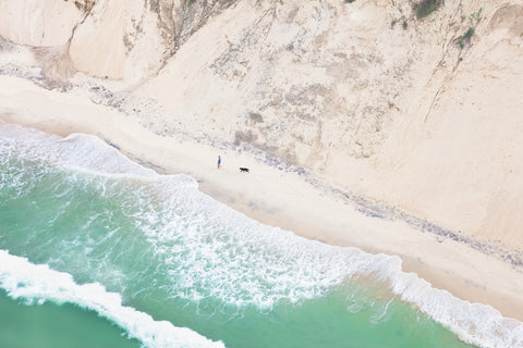 Dog and His Owner Walking on the Beach