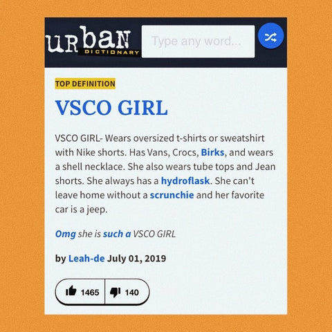 VSCO GIRL